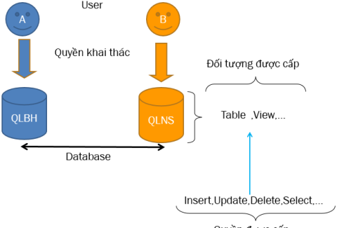 bao-mat-co-so-du-lieu-sql-server-1