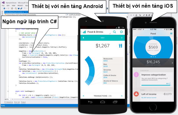 tong-quan-ve-lap-trinh-da-nen-tang-1